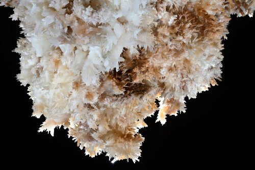 Grotte de Limousis (Aude) - Le lustre (détail de bouquets d'aragonite)(SP-21-0825)